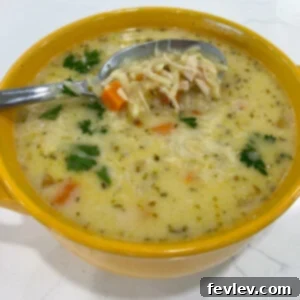 A beautifully presented bowl of creamy chicken orzo soup