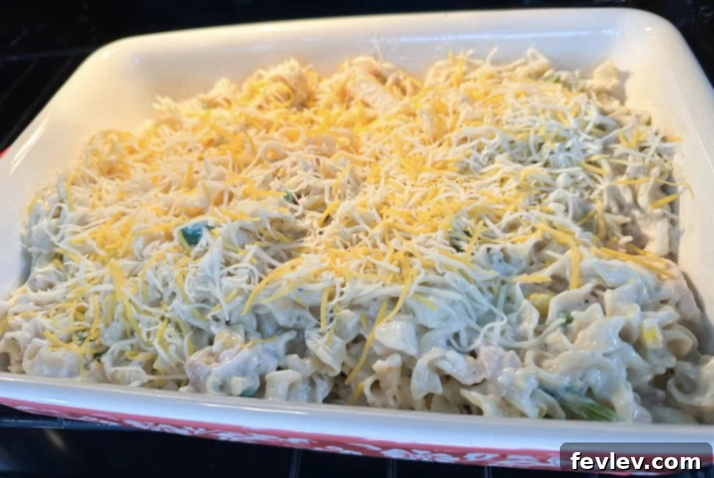 Unbaked Chicken Noodle Casserole mixture neatly spread in a baking dish, topped with shredded cheese, ready to be put in the oven.