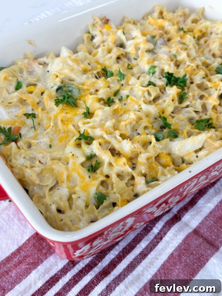 Hot and bubbly baked chicken noodle casserole in a baking dish, with a perfectly golden-brown cheesy topping, just out of the oven.