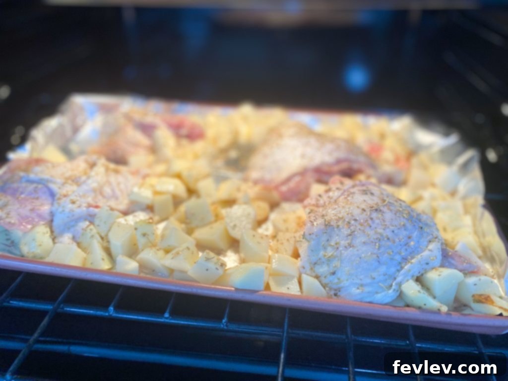 Zesty Greek Sheet Pan Chicken and Crispy Potatoes 4 Sheet pan with Greek chicken thighs and potatoes ready for the oven