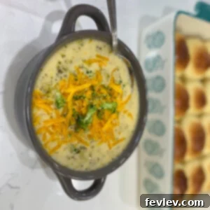 Slow Cooker Broccoli Cheese Soup
