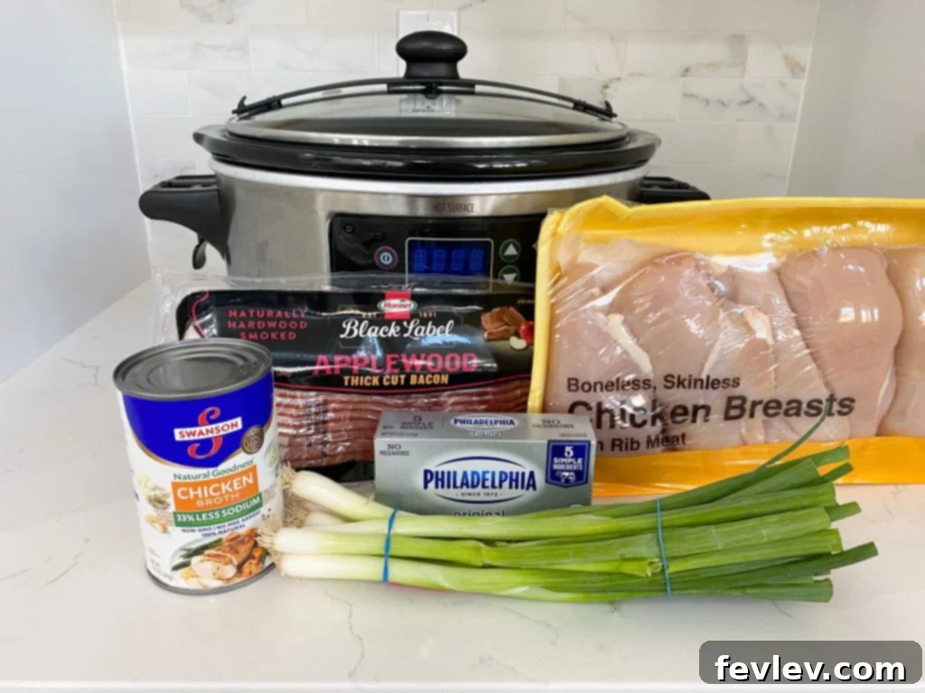 Delicious Slow Cooker Crack Chicken Soup, garnished with fresh green onions and cheese
