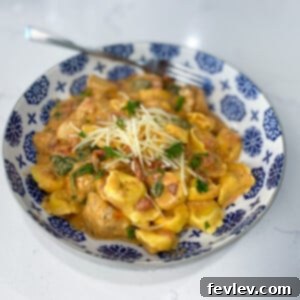Sun Dried Tomato Tortellini