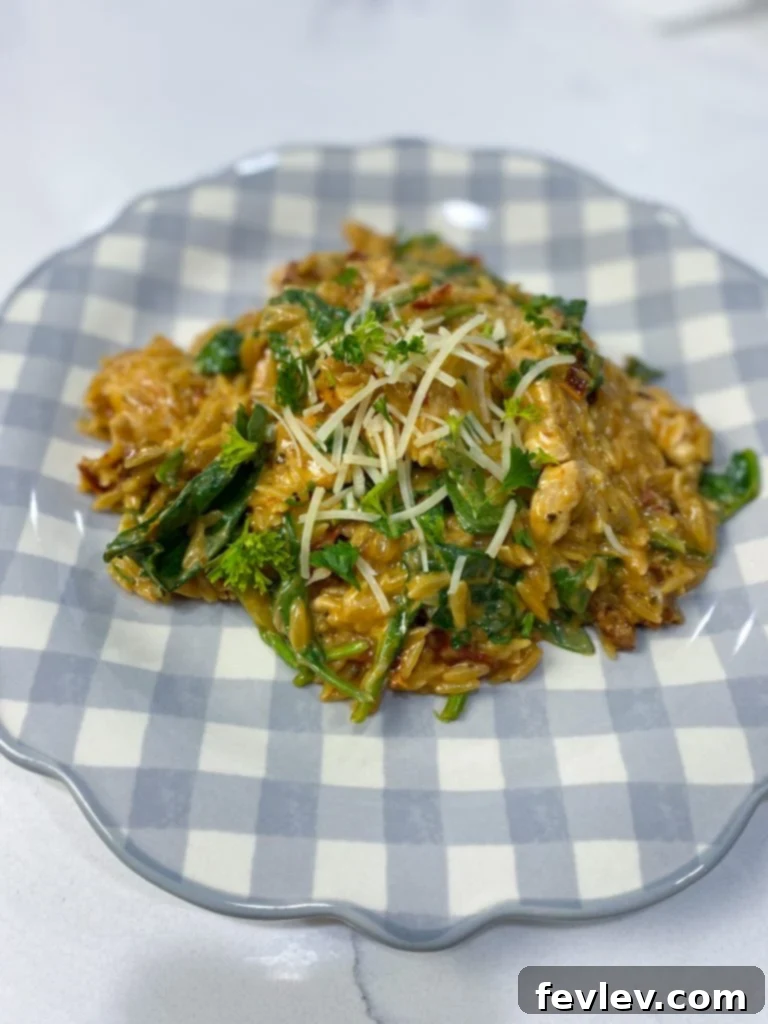 serving of creamy Cajun chicken orzo garnished with Parmesan