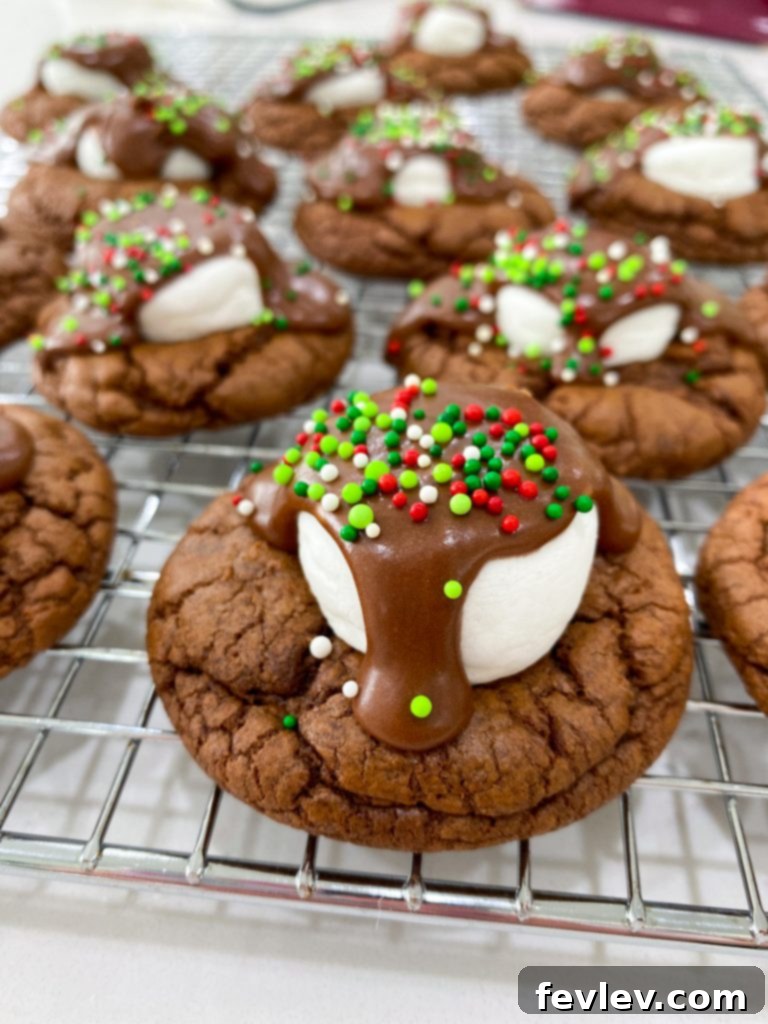 Fudgy Hot Cocoa Delights 2 Delicious Hot Cocoa Cookies with melted marshmallows and festive sprinkles, perfect for holiday gatherings
