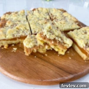 Caramel Butter Bars, a delightful dessert featuring a golden crust, rich caramel, and a crumbly topping.