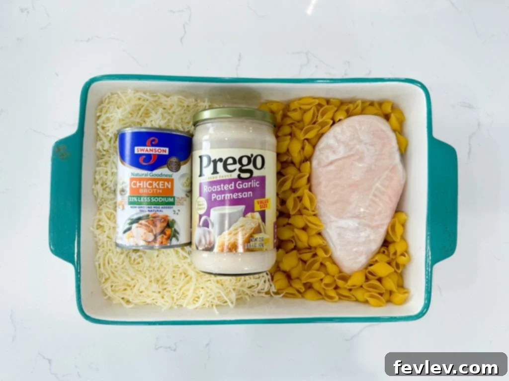 Delicious and creamy Chicken Alfredo Pasta Bake, freshly baked with golden cheese topping and fresh parsley garnish.