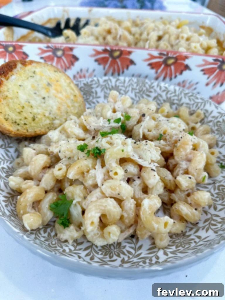 Individual ingredients for a simple Chicken Alfredo Pasta Bake, including garlic, chicken broth, cooked chicken, Alfredo sauce, pasta, and cheeses, arranged on a kitchen counter.