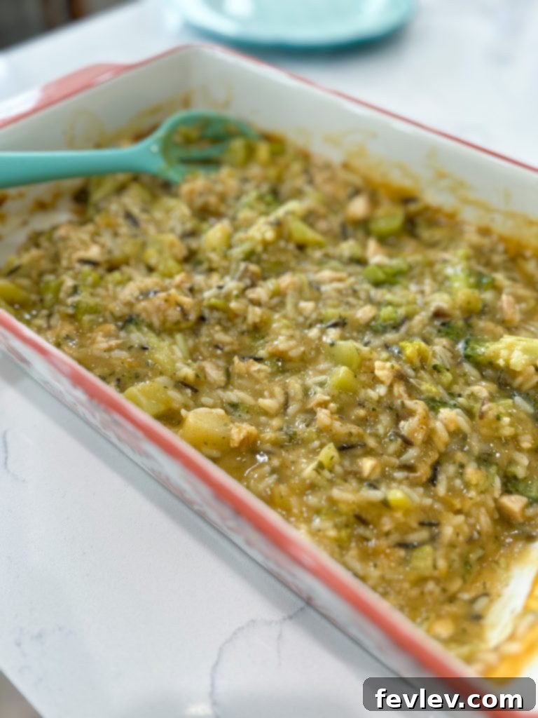 Golden-brown Chicken and Rice Casserole with Broccoli, fresh from the oven.