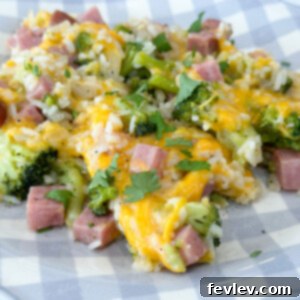 Ham, Broccoli, and Rice Skillet - a hearty one-pot meal