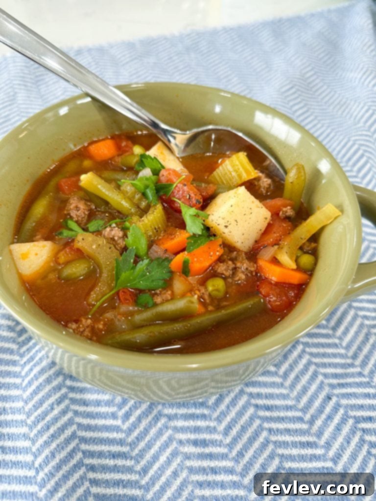 Ground Beef and Vegetable Soup