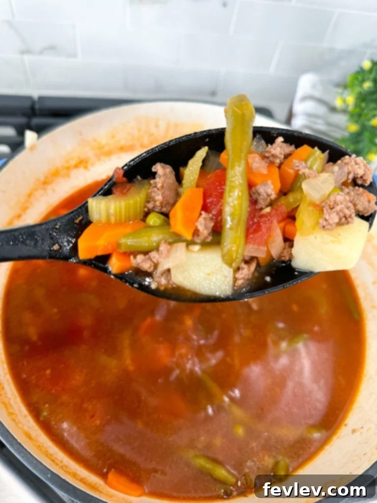 Ground Beef and Vegetable Soup