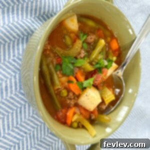 Ground Beef and Vegetable Soup
