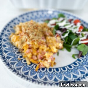 A circular image featuring a prepared Cheesy Ham Macaroni and Cheese Casserole