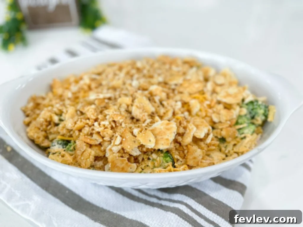 A full baking dish of golden-brown Chicken and Broccoli Macaroni Cheesy Casserole with a crispy topping.