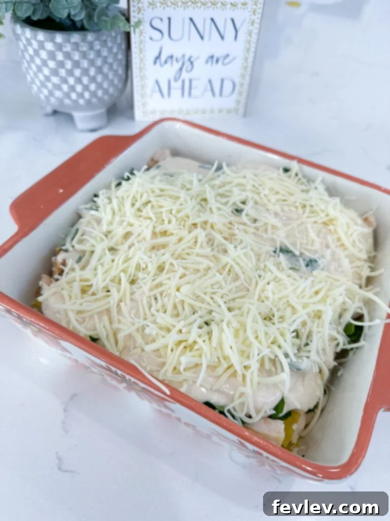 Creamy Chicken and Spinach Lasagna 4 Boiled lasagna noodles in a strainer
