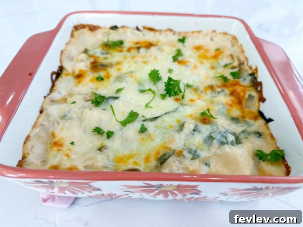 Creamy Chicken and Spinach Lasagna 5 Layering the chicken and spinach lasagna in a baking dish