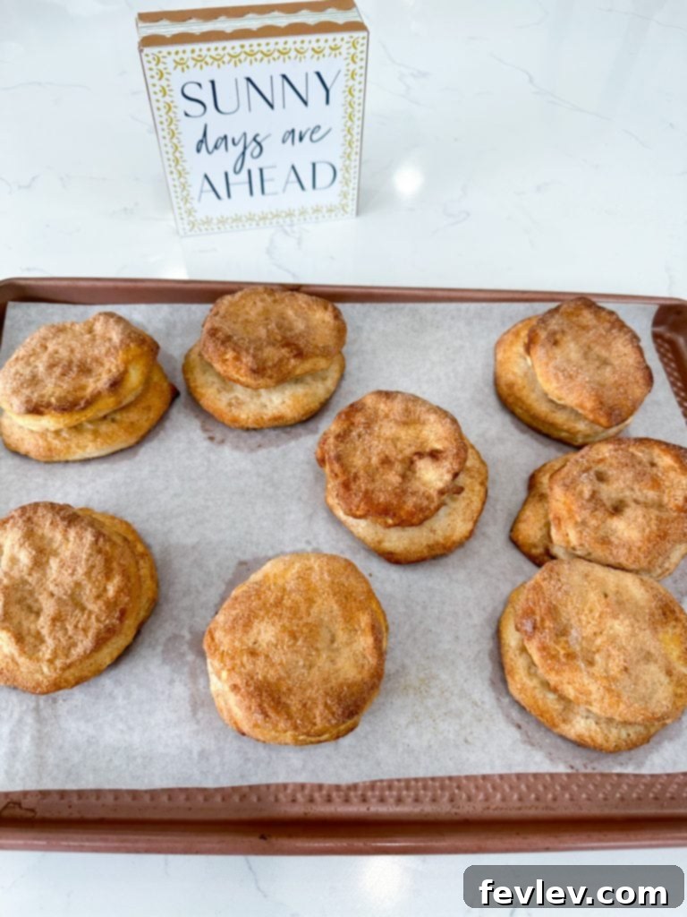 Cinnamon Swirl Biscuits 5 Cinnamon Roll Biscuits baking in the oven on a baking sheet until golden brown and puffed up.