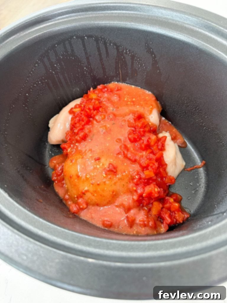 Parmesan Chicken Paninis 4 Whisking Italian dressing, tomato paste, brown sugar, salt, and pepper in a small white bowl