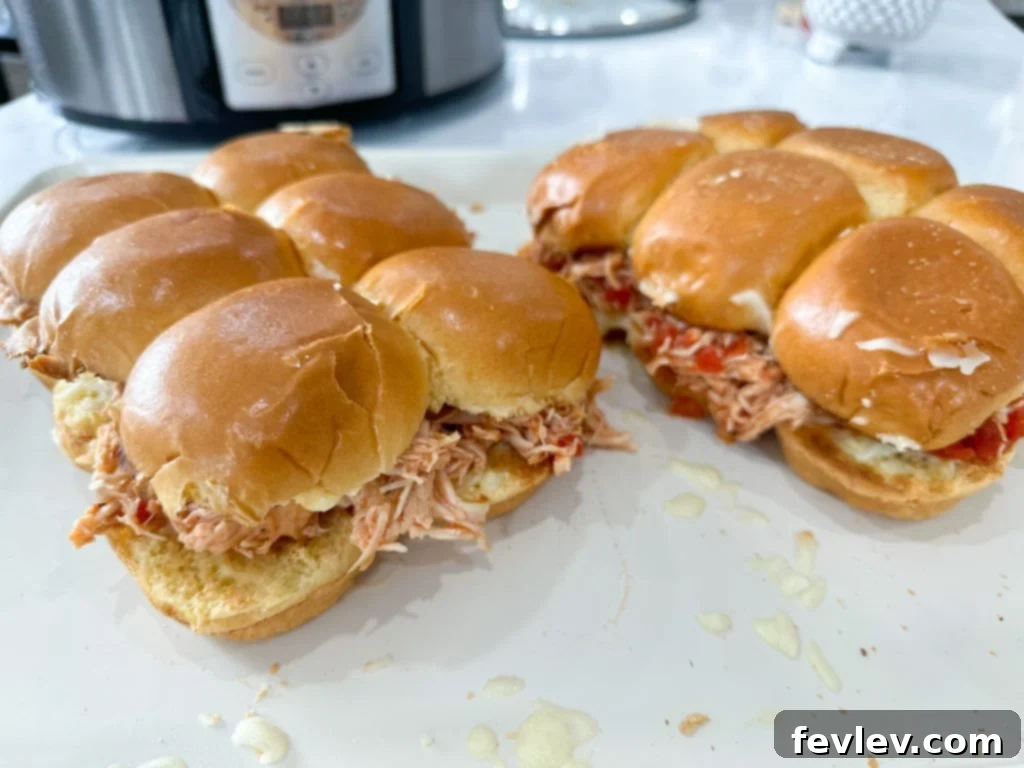Parmesan Chicken Paninis 8 Two fully assembled Italian Chicken Sandwiches on a white plate