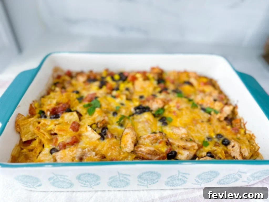 Cheesy Chicken Tortilla Bake 14 Chicken Tortilla Casserole with a generous layer of cheese on top, ready to bake