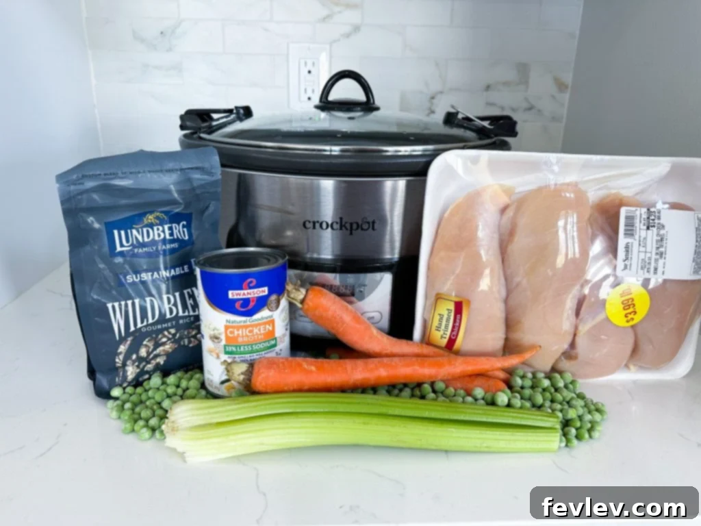 Savory Slow Cooker Chicken and Wild Rice with Veggies 2 A delicious bowl of Slow Cooker Chicken and Wild Rice, garnished with fresh herbs, showcasing the creamy texture and tender ingredients.