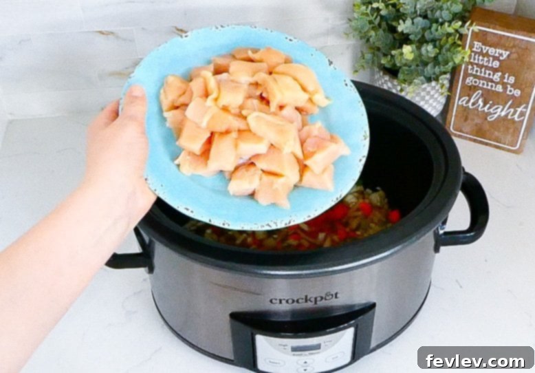 Savory Slow Cooker Chicken and Wild Rice with Veggies 5 All ingredients, except cheese, combined in the slow cooker before cooking.