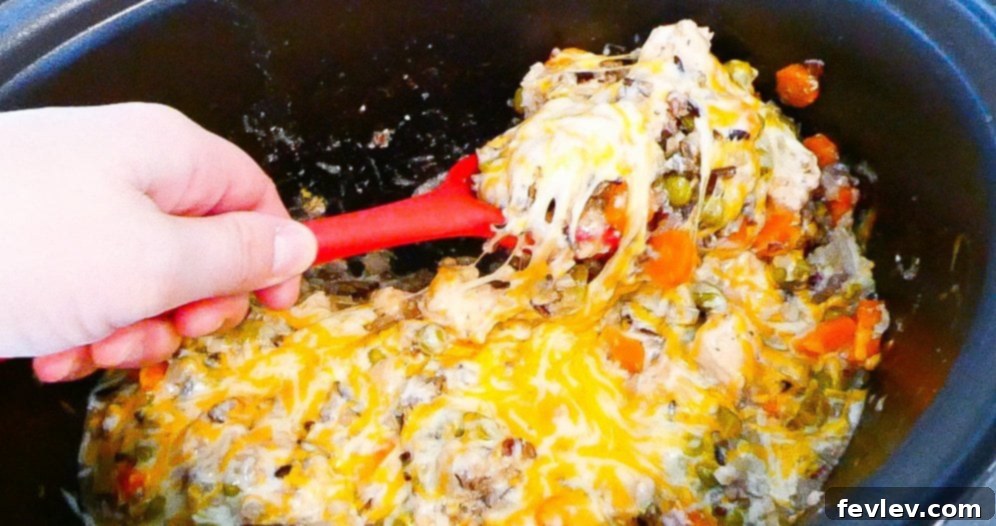 Savory Slow Cooker Chicken and Wild Rice with Veggies 7 A serving of creamy Slow Cooker Chicken and Wild Rice in a bowl, garnished with fresh parsley.