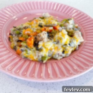 Close-up of Slow Cooker Chicken and Wild Rice with Vegetables