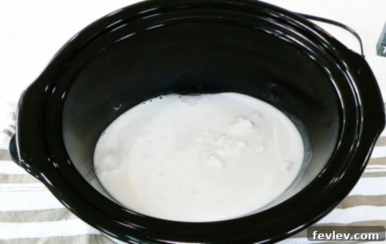 Close-up of Slow Cooker Chicken Coconut Curry