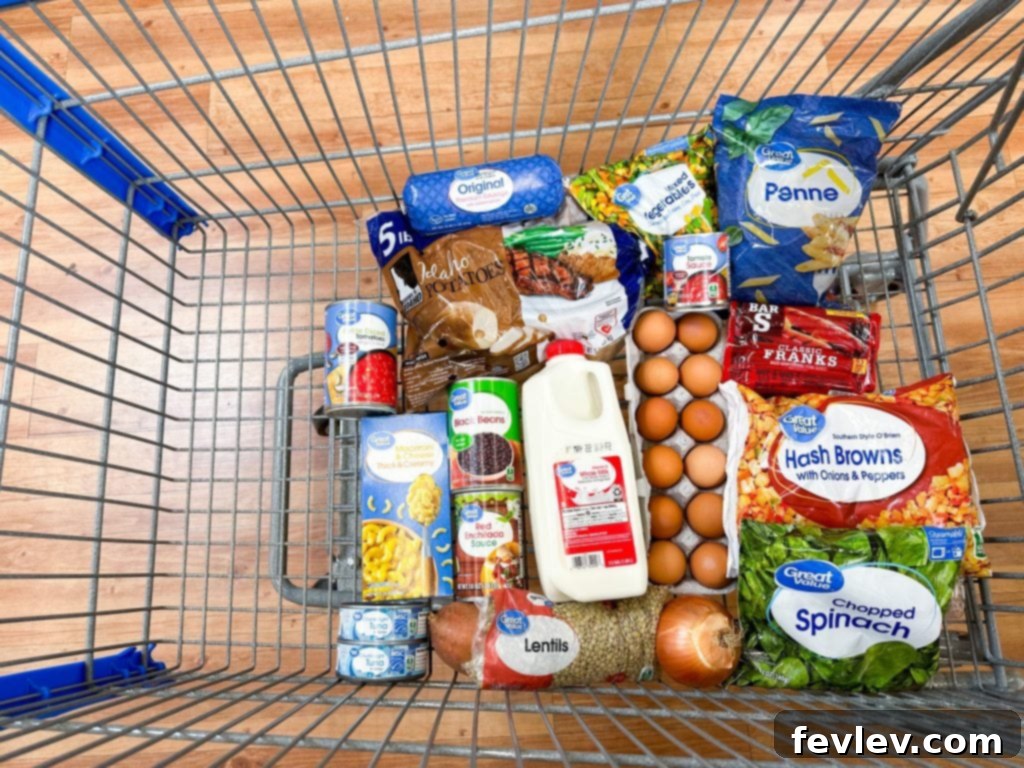 The Bare Bones Eating Guide 2 extreme budget meals