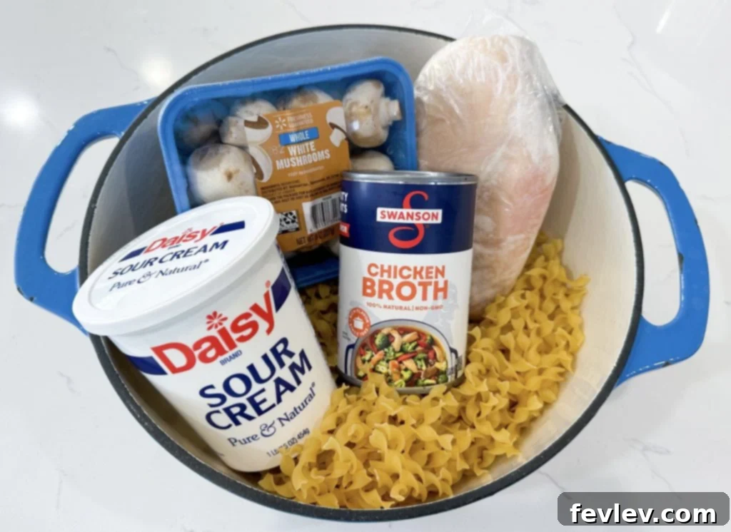 Quick & Creamy One-Pot Chicken Stroganoff 2 one pot chicken stroganoff ingredients