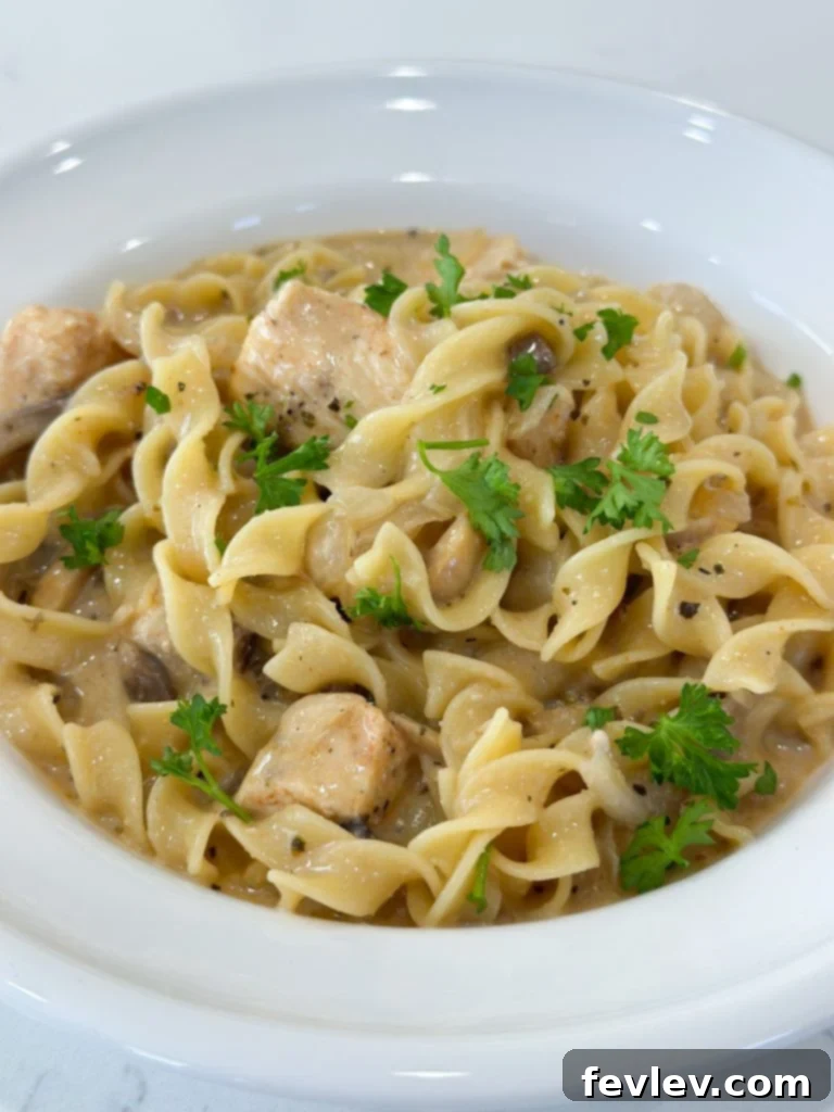 Quick & Creamy One-Pot Chicken Stroganoff 7 one pot chicken stroganoff plated