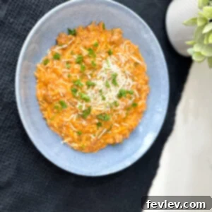 Delicious one-pot orzo with rich creamy sauce, garnished with fresh herbs