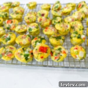 Egg Poppers 2 Close-up of fluffy, golden mini egg bites in a muffin pan, garnished with fresh parsley.