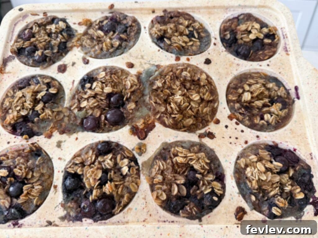 Grab-and-Go Blueberry Oatmeal Treats 2 Healthy and delicious blueberry oatmeal muffin cups, perfect for breakfast