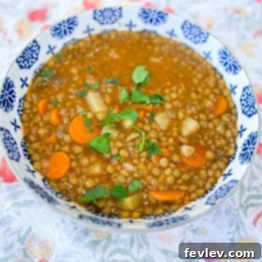 A rustic bowl of hearty lentil stew, brimming with diced carrots, potatoes, and vibrant green spinach, garnished with fresh herbs, ready to be enjoyed.