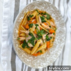Delicious Chicken Vegetable Pasta dish, ready to serve.