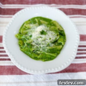 Delicious rotini pasta coated in a vibrant vegetable green sauce, garnished with fresh herbs, ready to be served.