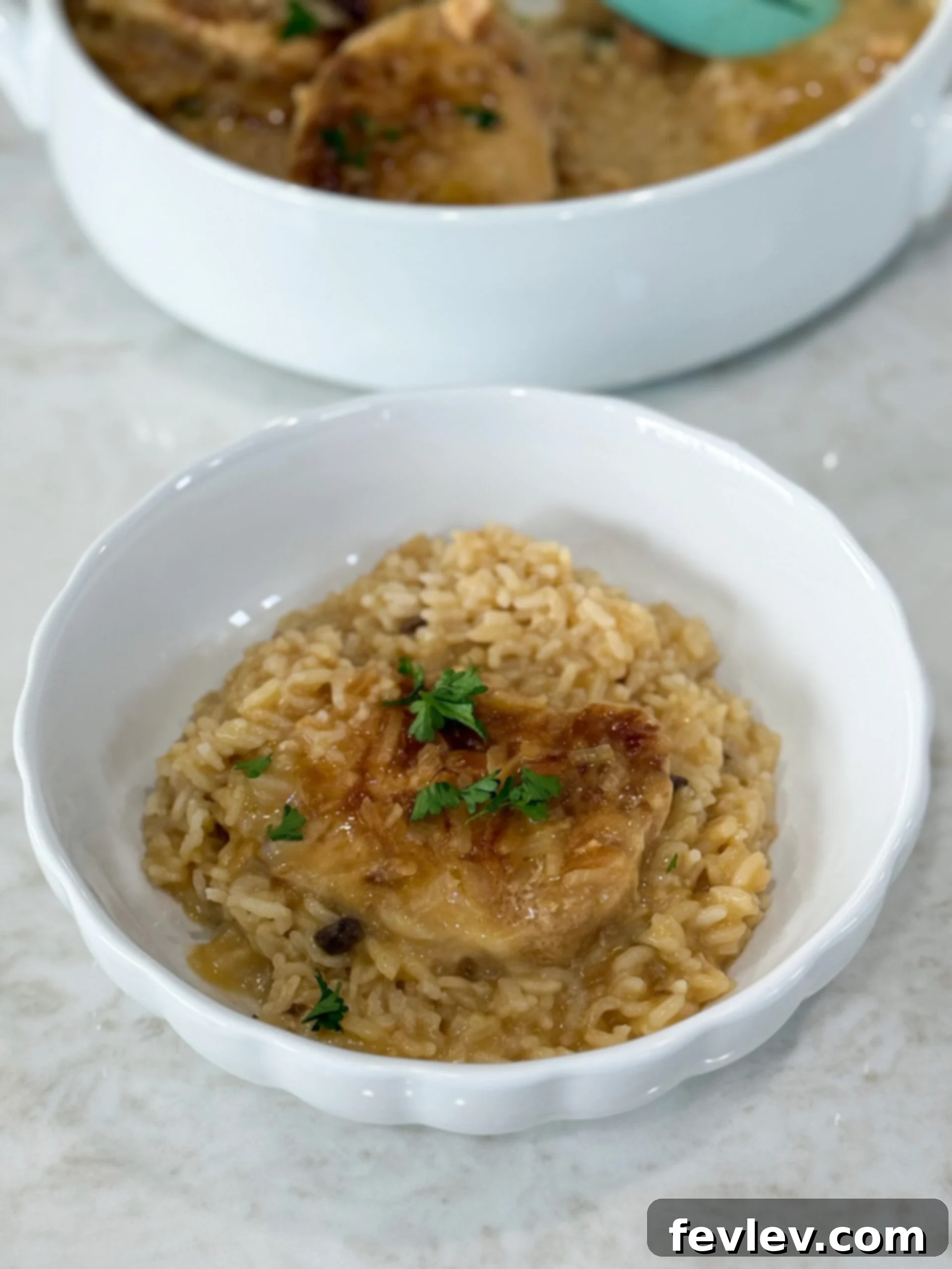 One-Pan Pork Chop Perfection 7 A serving of No Peek Pork Chop Casserole on a plate, showing a tender pork chop alongside creamy, fluffy rice.