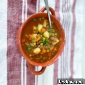 Hearty Ground Beef Stew, garnished with fresh herbs