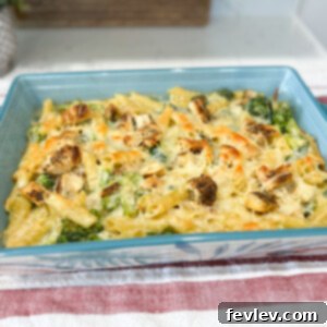 Delicious Chicken Broccoli Alfredo Casserole, fresh from the oven with bubbly cheese