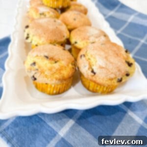 Deliciously fluffy cake mix chocolate chip muffins with golden tops and visible chocolate chips.