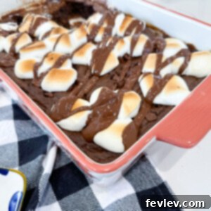 Delicious S'mores Dump Cake with melted chocolate and toasted marshmallows, garnished with a few additional marshmallows