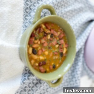 A steaming bowl of hearty Ham and Beans, garnished with fresh parsley, perfect for a comforting meal.