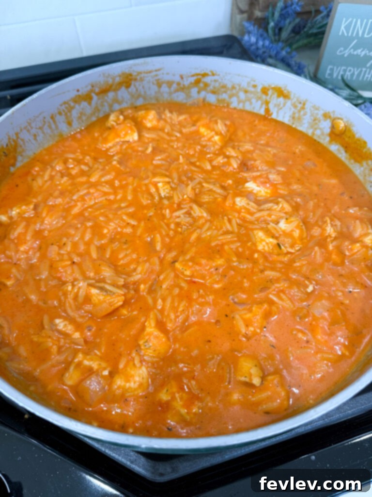 Uncooked orzo pasta, tomato sauce, chicken broth, and heavy cream being stirred into the pot with seared chicken and onions.