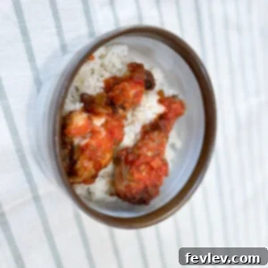 Delicious Salsa Chicken and Rice served in a bowl, garnished with fresh cilantro