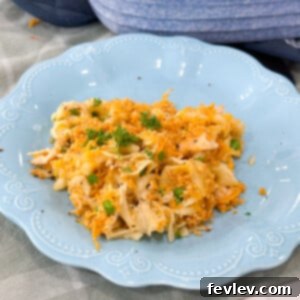 A golden-brown chicken noodle casserole, freshly baked and bubbling, garnished with herbs, ready to serve as a comforting family meal.