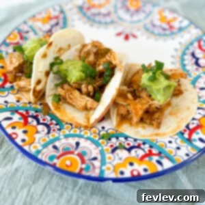 Delicious Braised Chicken Tacos, slow-cooked to perfection