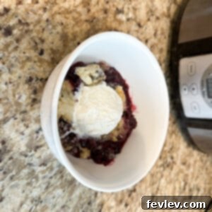 Low and Slow Berry Cobbler 4 Slow Cooker Berry Cobbler ready to serve